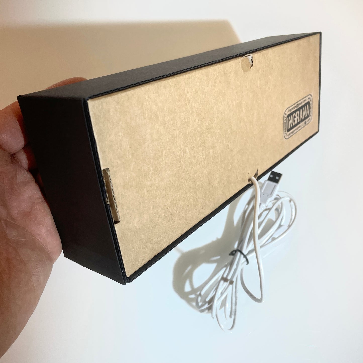 Solo EcoBox luminosa senza targa