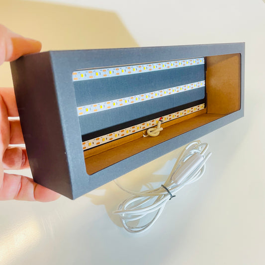 Solo EcoBox luminosa senza targa