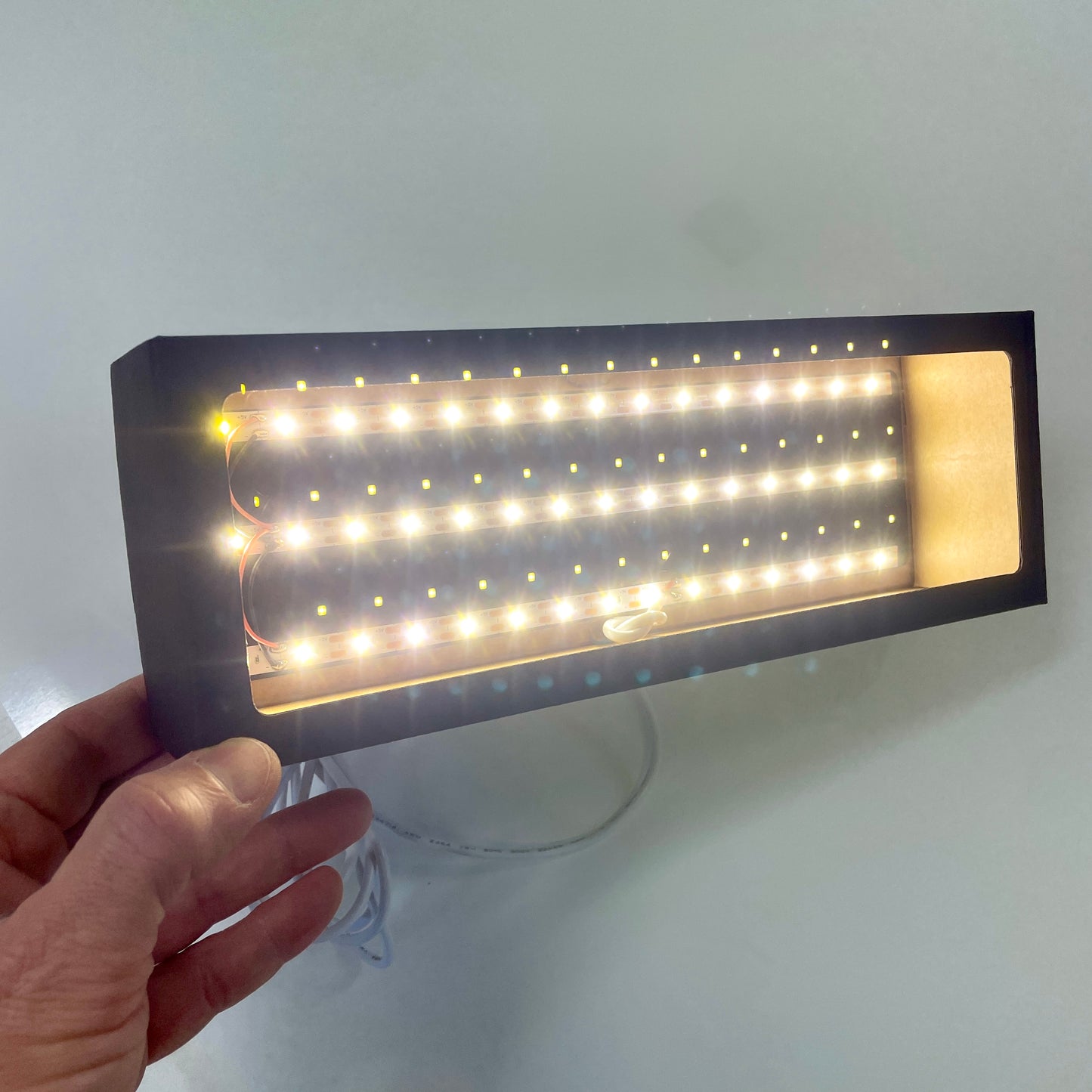 Solo EcoBox luminosa senza targa